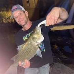 Meet your Posher, Wesley